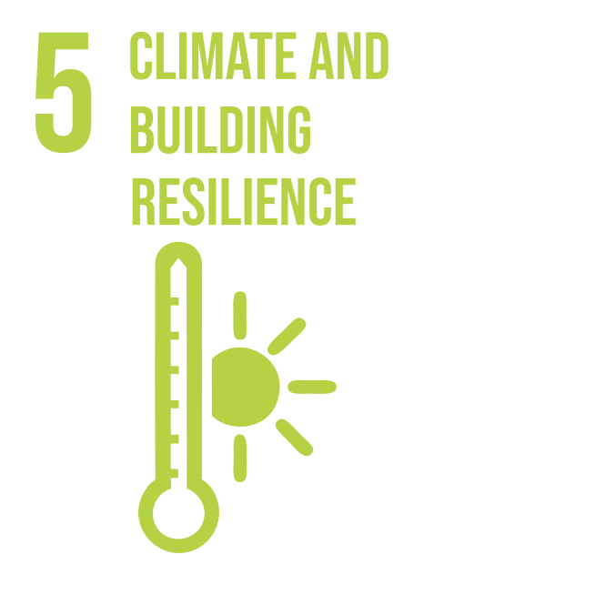 Addressing climate change, environmental degradation, recovery from the COVID-19 pandemic and building resilience against future shocks for risk-informed sustainable development