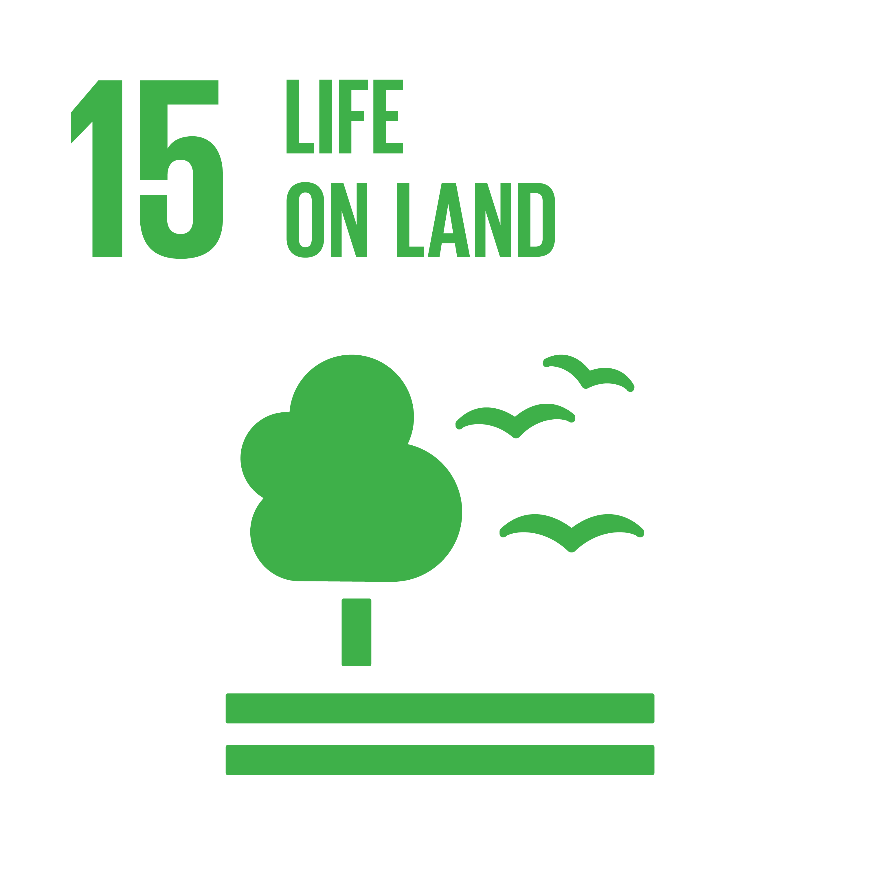 Protect, restore and promote sustainable use of terrestrial ecosystems, sustainably manage forests, combat desertification, and halt and reverse land degradation and halt biodiversity loss