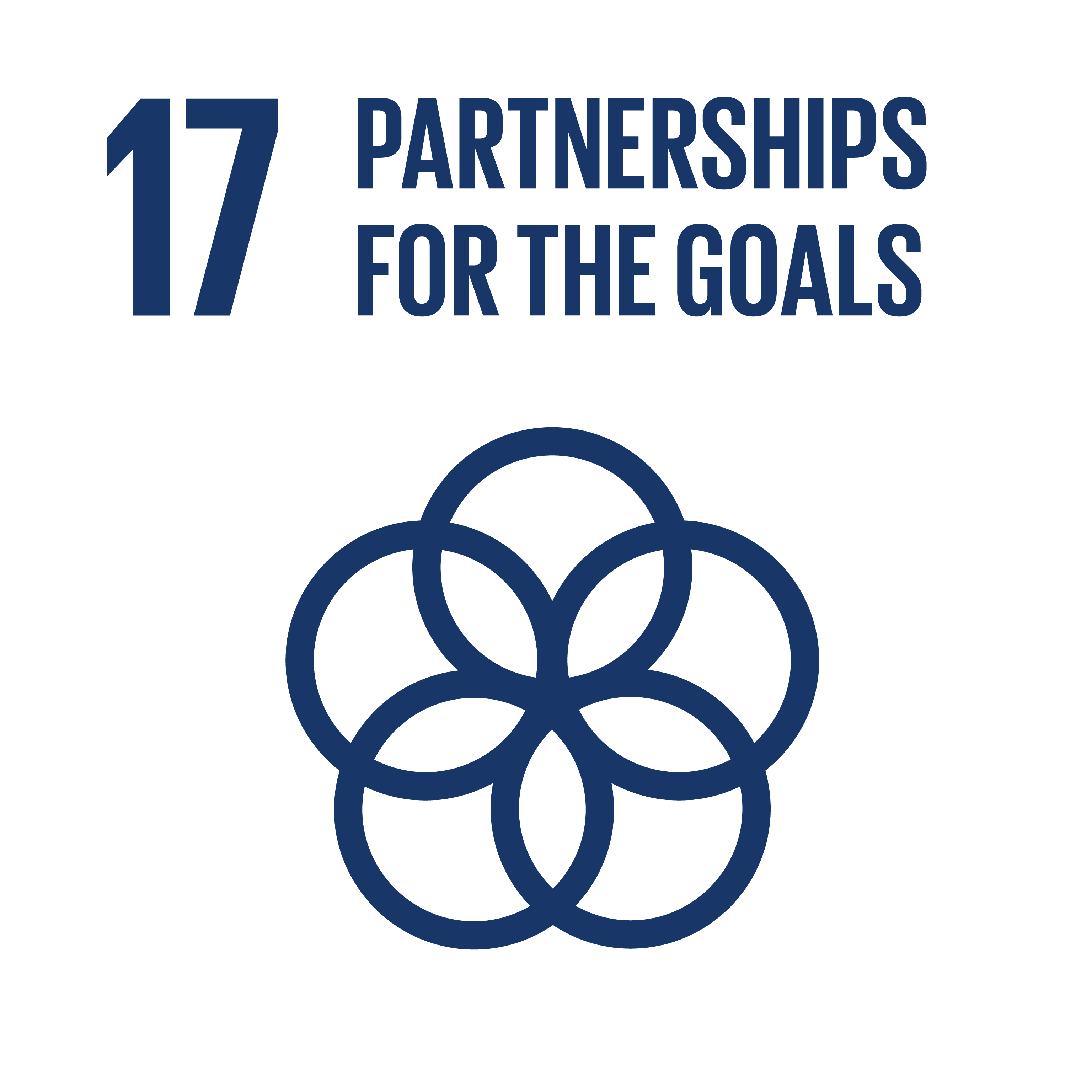 Strengthen the means of implementation and revitalize the Global Partnership for Sustainable Development 