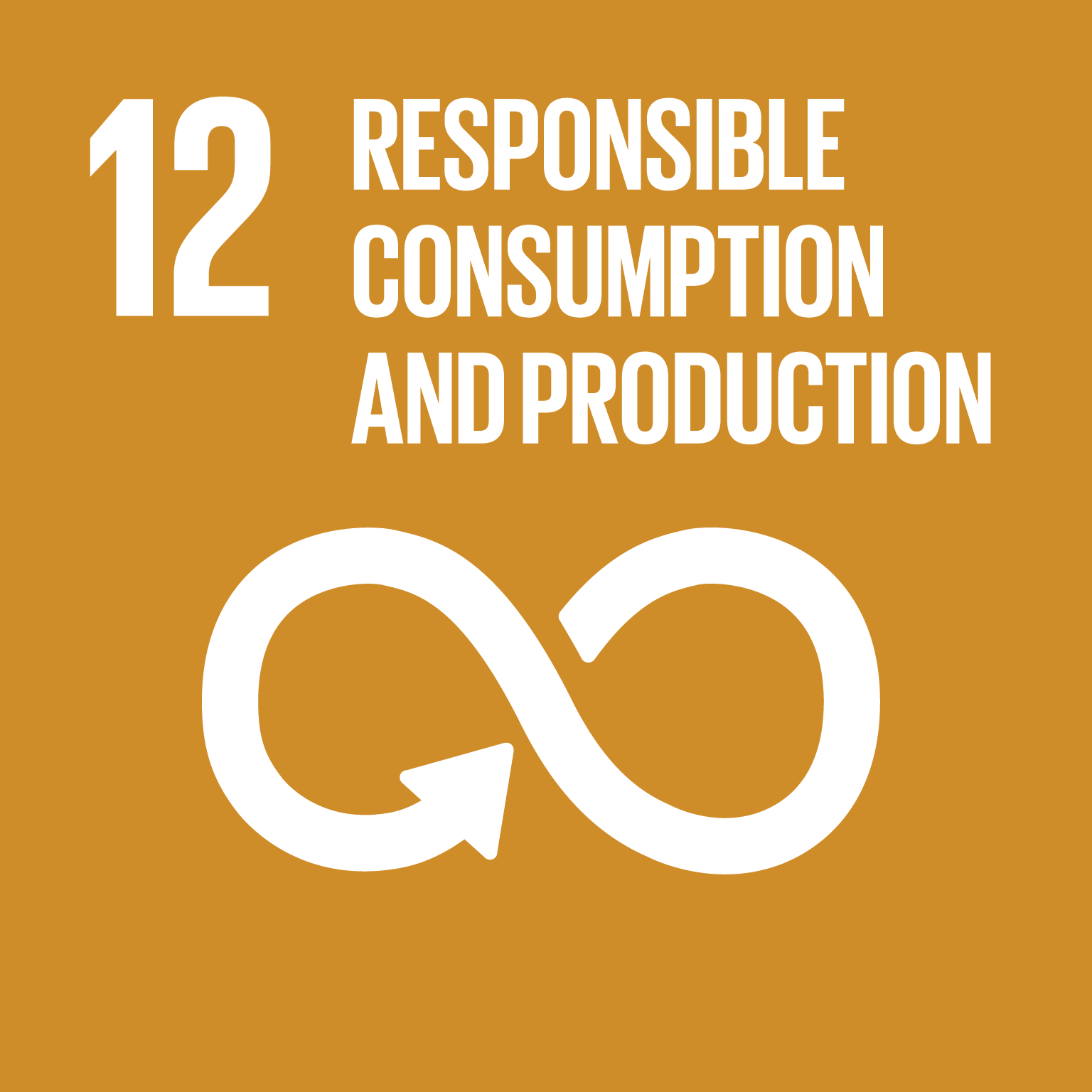 Ensure sustainable consumption and production patterns 12