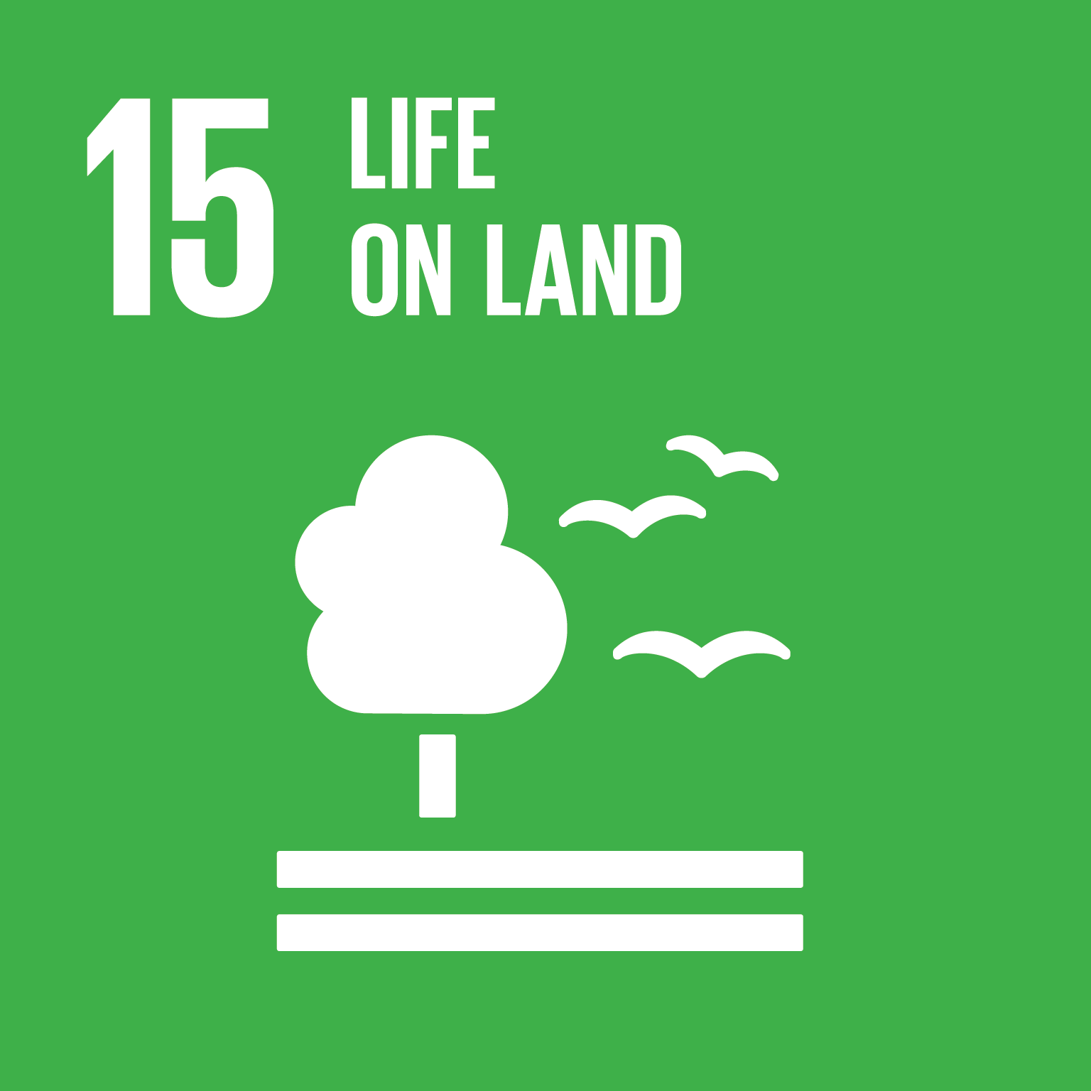 Protect, restore and promote sustainable use of terrestrial ecosystems, sustainably manage forests, combat desertification, and halt and reverse land degradation and halt biodiversity loss 15