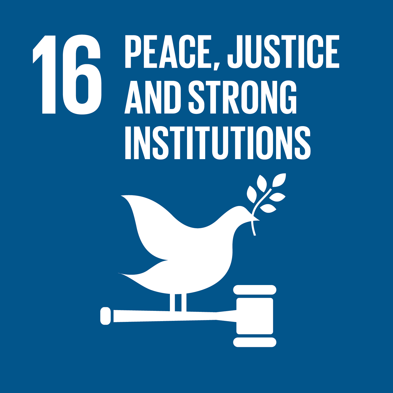 Promote peaceful and inclusive societies for sustainable development, provide access to justice for all and build effective, accountable and inclusive institutions at all levels 16