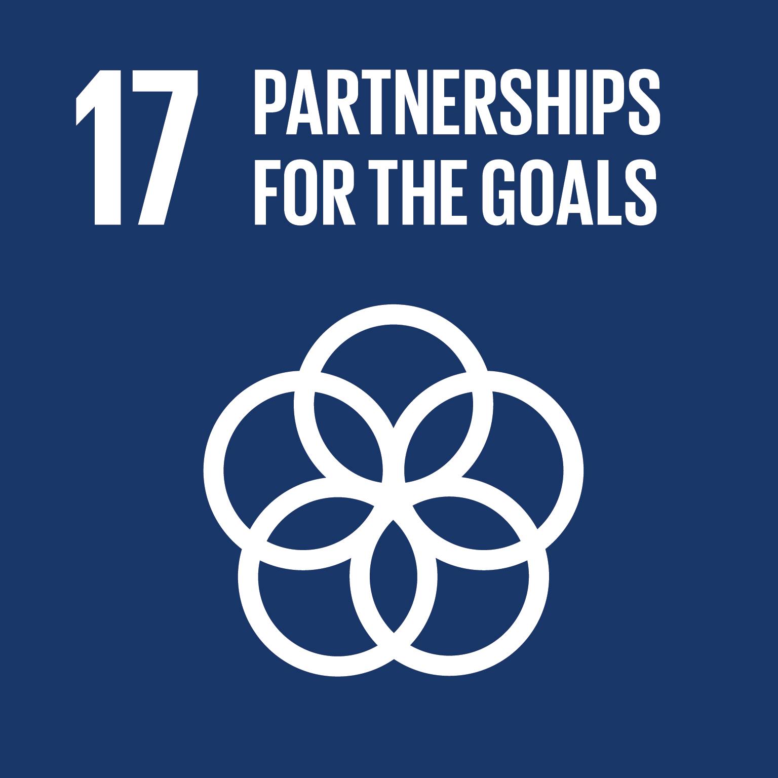 Strengthen the means of implementation and revitalize the Global Partnership for Sustainable Development  17